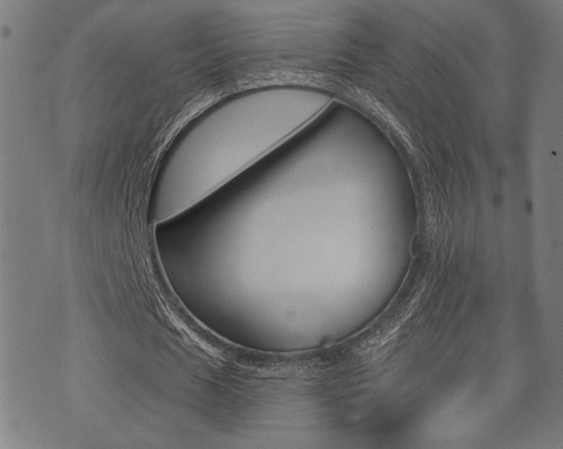 X0000073540625200607310951