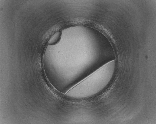 X0000073540633200607310952