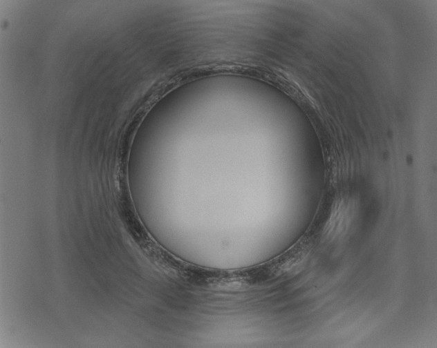 X0000073540643200607310952