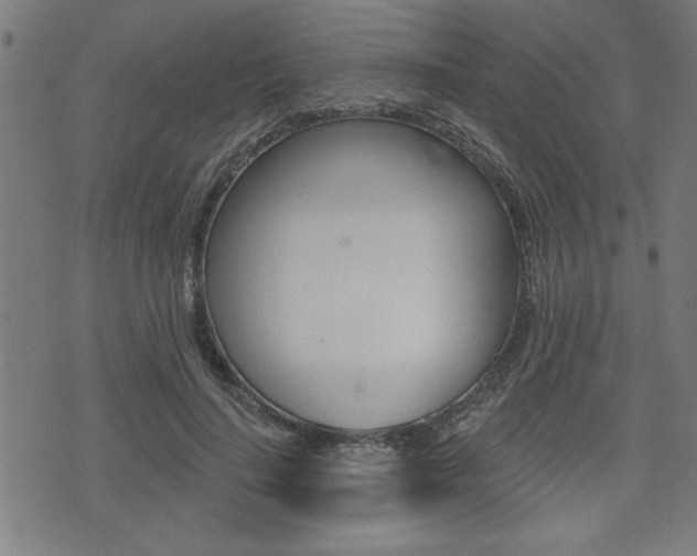 X0000073540644200607310952