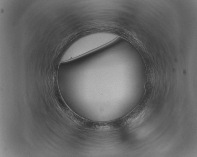 X0000073540645200607310952
