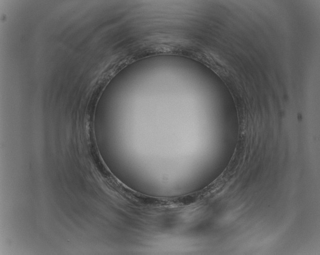 X0000073540646200607310952