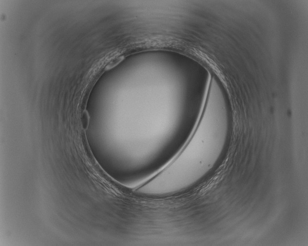 X0000073540673200607310951