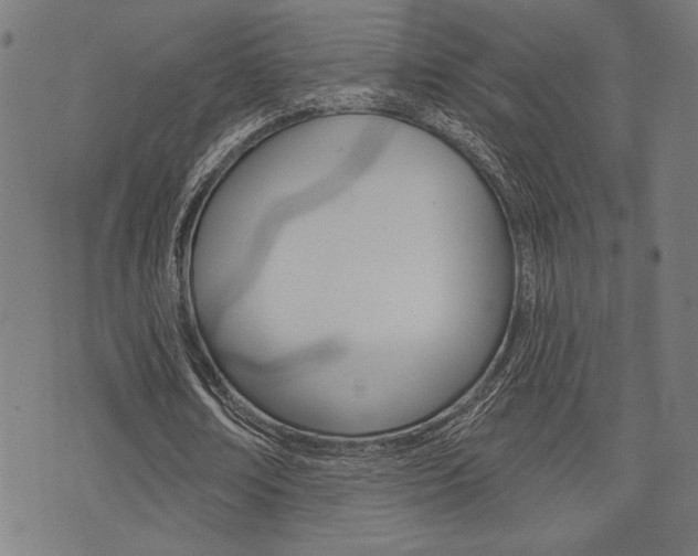 X0000073540674200607310951