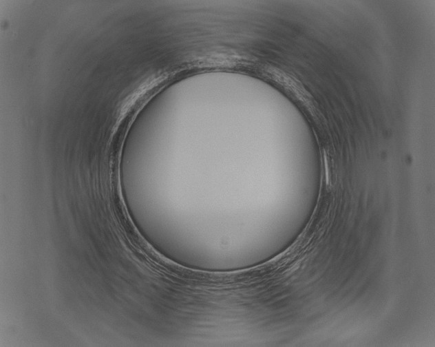 X0000073540675200607310951