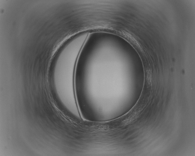 X0000073540676200607310951