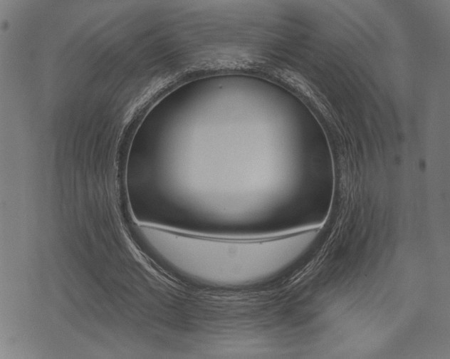 X0000073540677200607310951