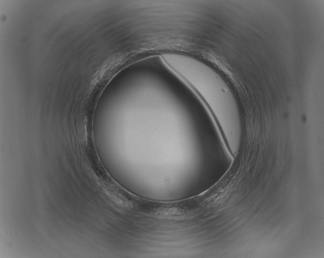 X0000073540685200607310951