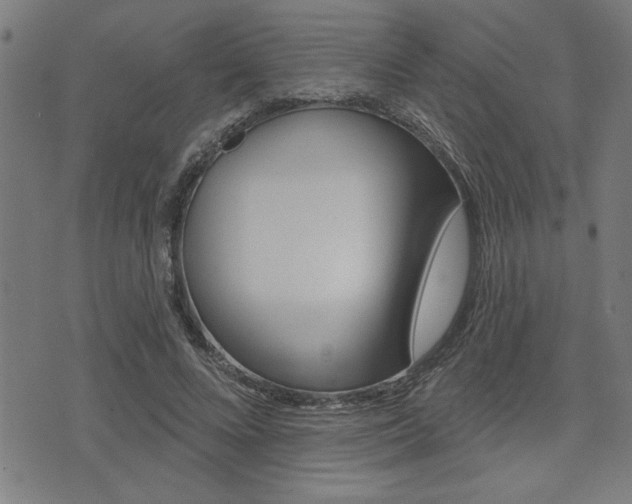 X0000073540688200607310951
