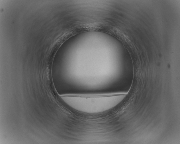 X0000073540689200607310951
