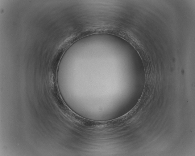 X0000073540692200607310951