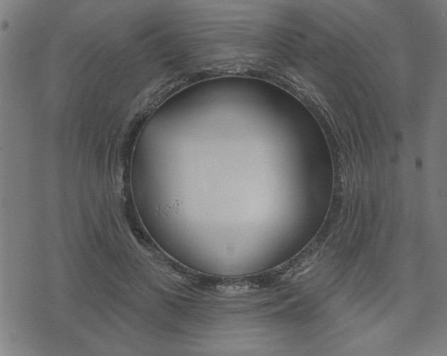 X0000073540693200607310951