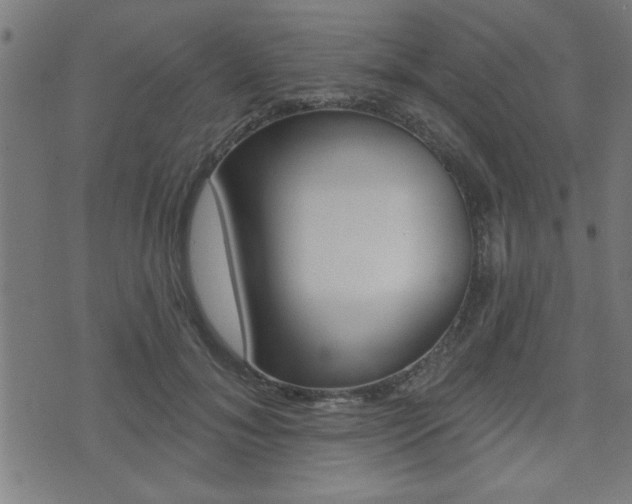 X0000073540700200607310951