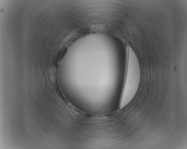 X0000073540712200607310951