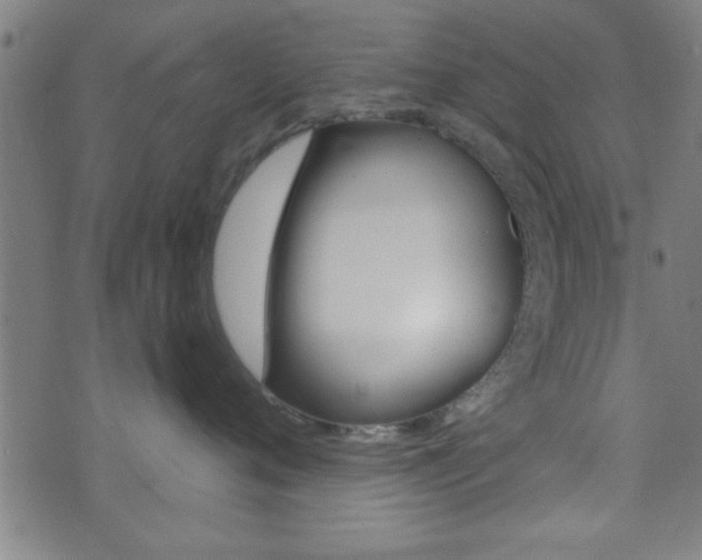 X0000073540720200607310951