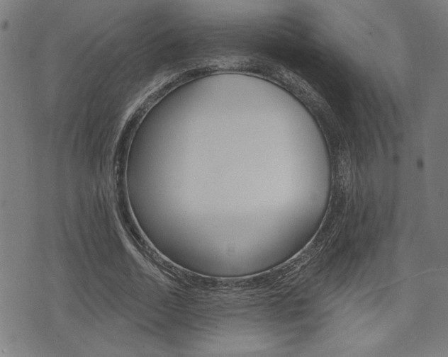 X0000073540730200607310950