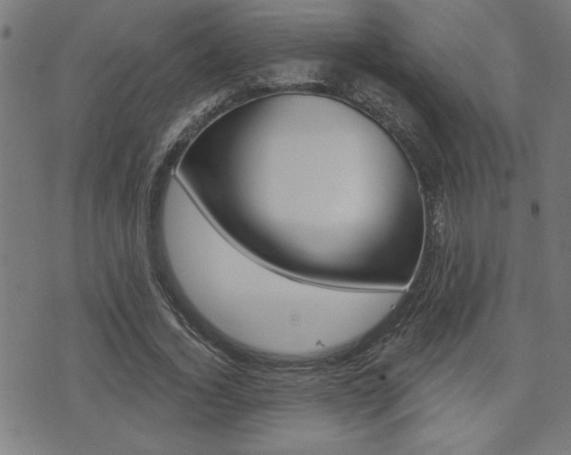 X0000073540732200607310950