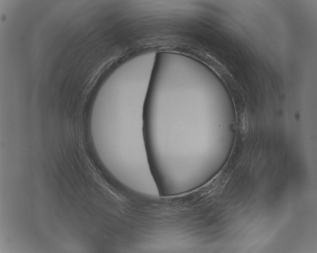 X0000073540733200607310950