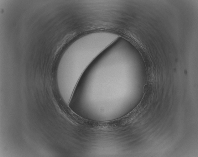 X0000073540738200607310950