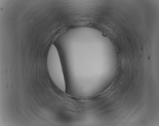 X0000073540745200607310950