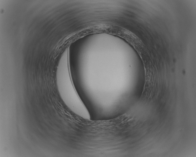 X0000073540773200607310950