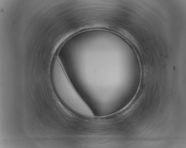 X0000073540789200607310950