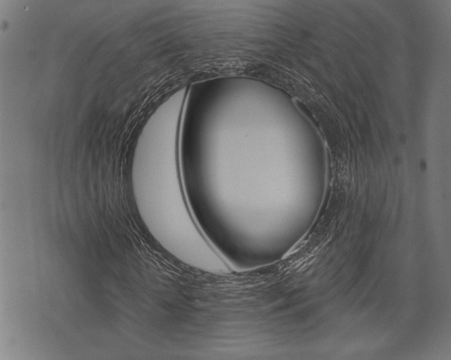 X0000073540818200607310948