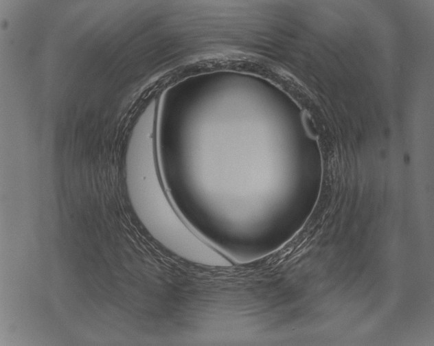 X0000073540822200607310948