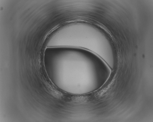 X0000073540826200607310948