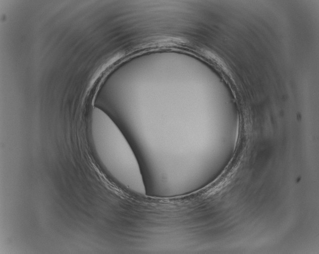 X0000073540827200607310948