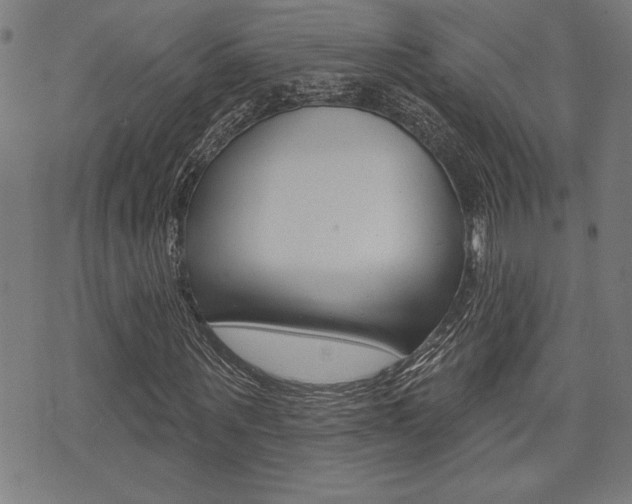 X0000073540867200607310948
