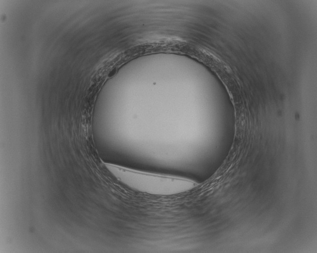 X0000073540869200607310948