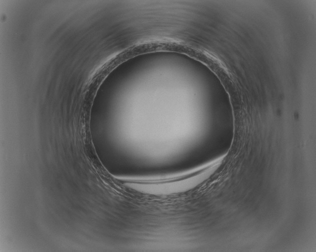 X0000073540872200607310948