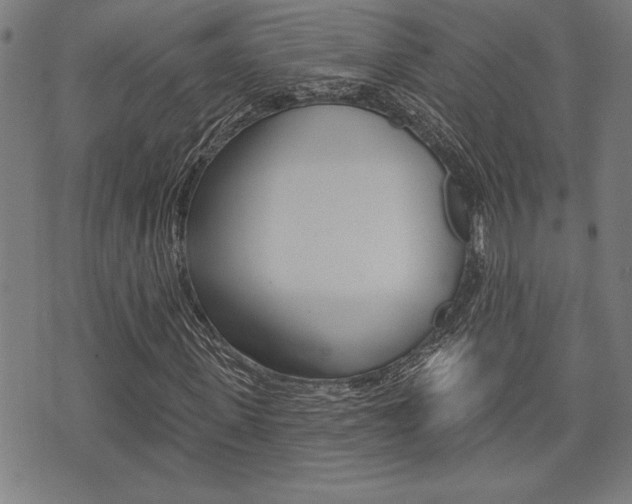 X0000073540915200607310947