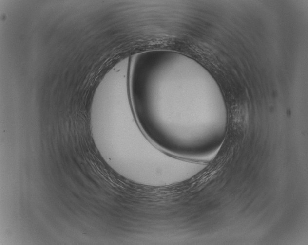 X0000073540916200607310947