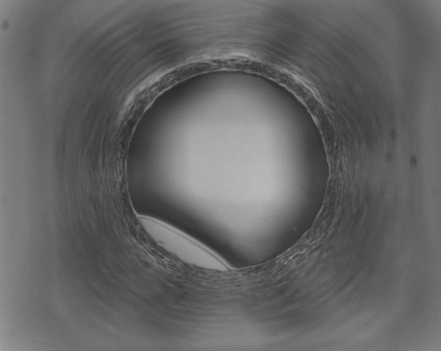X0000073540920200607310947