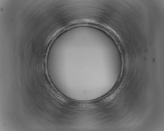 X0000073540921200607310947