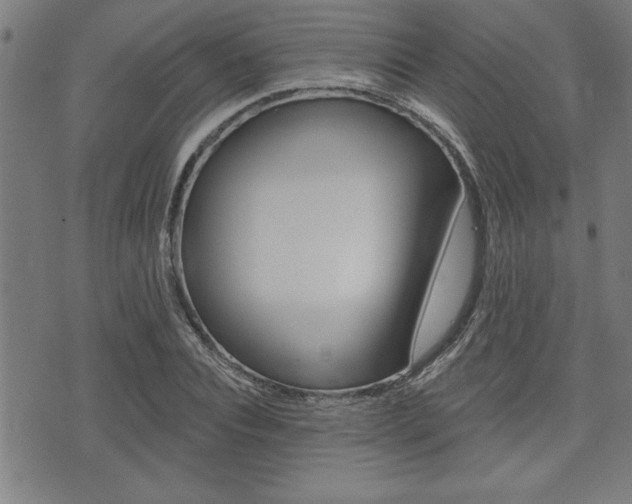 X0000073540928200607310947