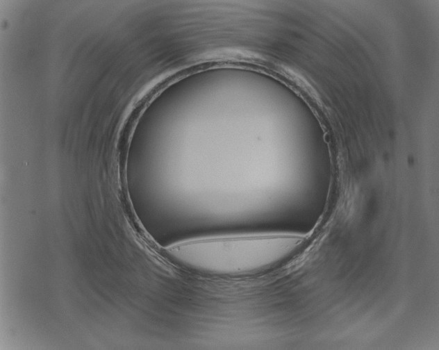 X0000073540931200607310947