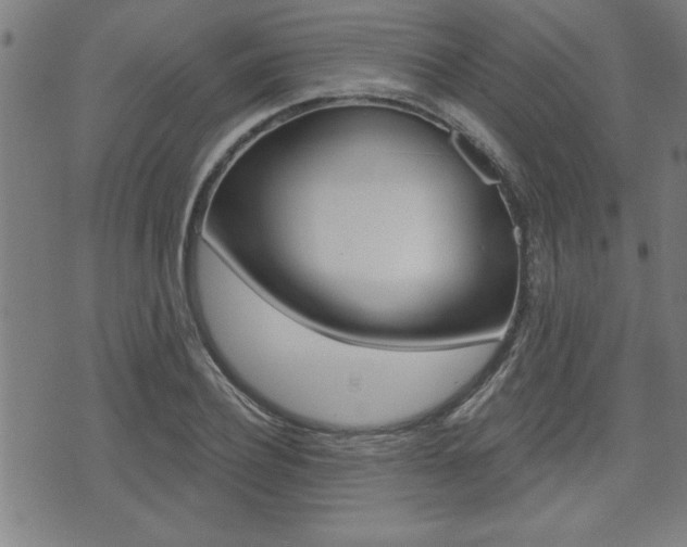X0000073540932200607310947