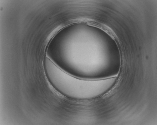 X0000073540946200607310947