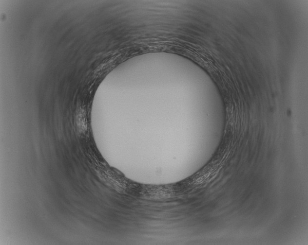 X0000073540962200607310947
