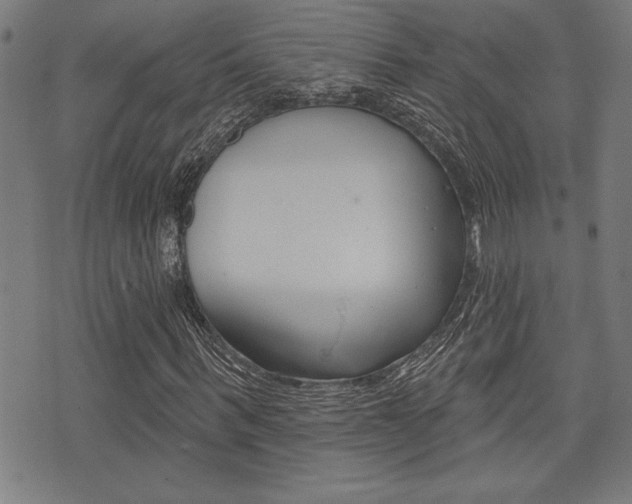 X0000073540963200607310947