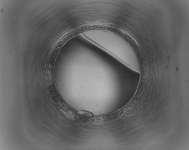 X0000073540968200607310947