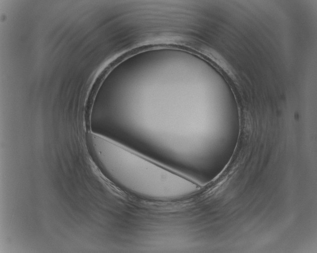 X0000073540980200607310946
