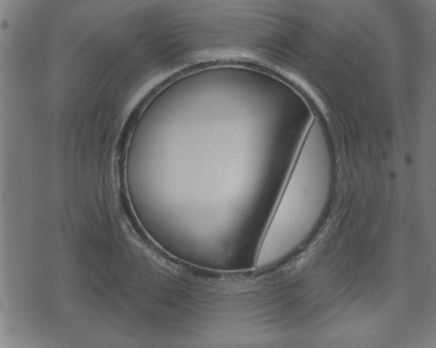 X0000073540983200607310946