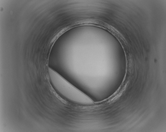 X0000073540985200607310946