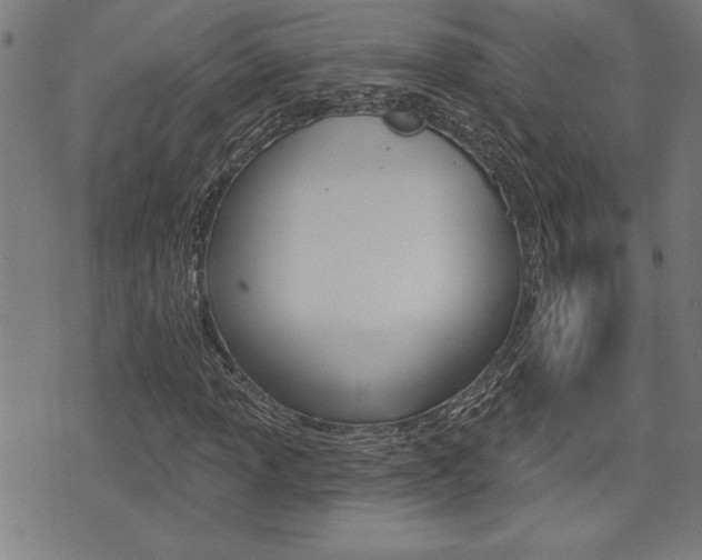 X0000073541013200607310945