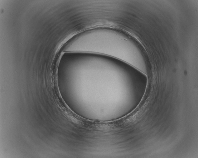 X0000073541018200607310945