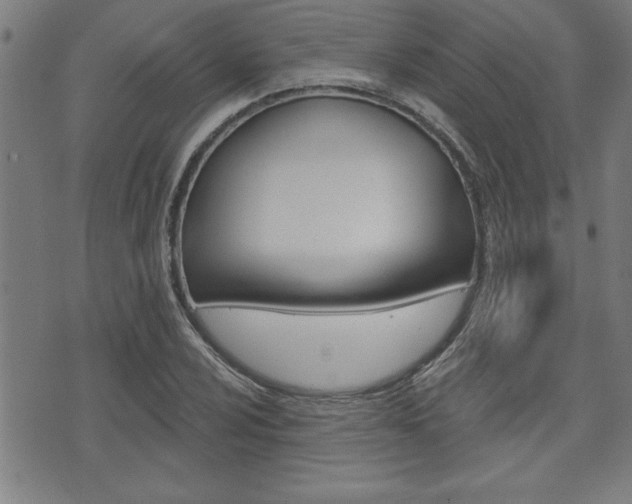 X0000073541024200607310945